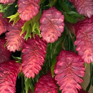 Meet your Posher, Razi